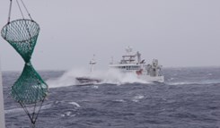 Haugagut på kolmulefiske 2016