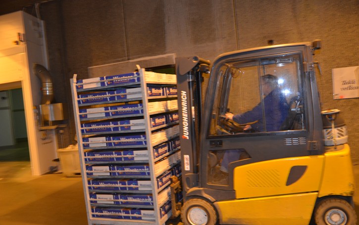 Travelt når truck-kjørerne skal kjøre 400 tonn lodde i 20 kilos kasser på frys