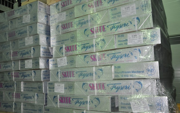 Skudes populære 10 kilos kasser med G6 makrell