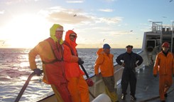 Mannskapet på Stålringen - nordsjøsildfisket 2012