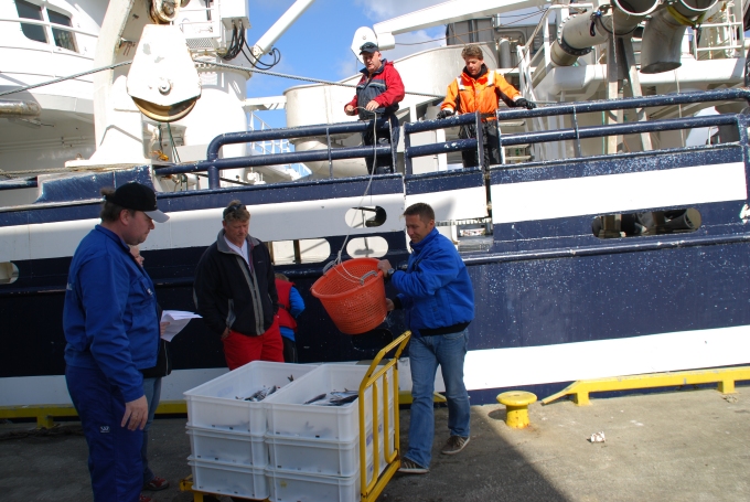 Norges Sildesalgslag - 